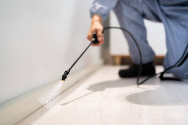 Licensed Cockroach Control service in Vienna, WV - Nex Pest Control